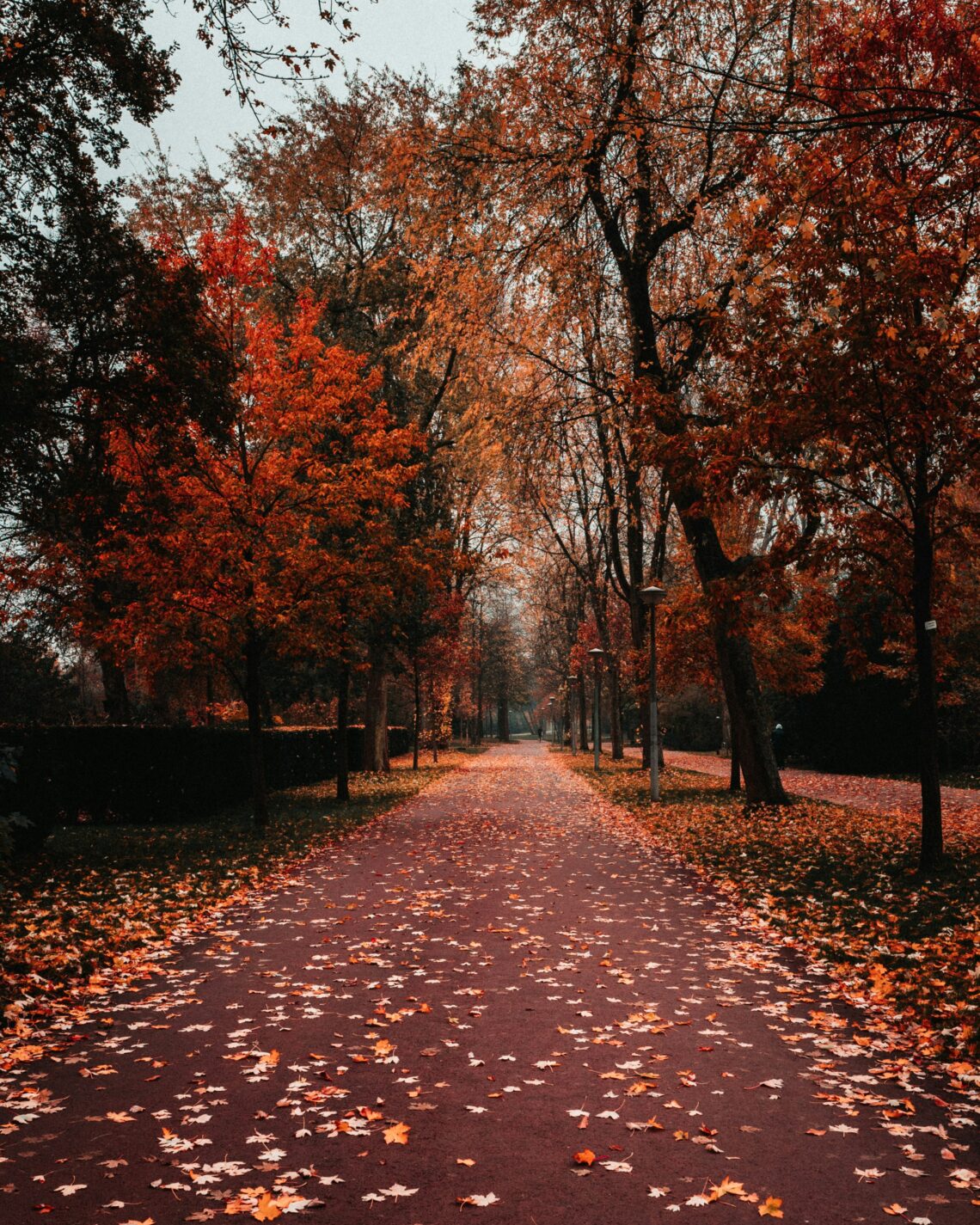 „Jesień w parku – kolorowe liście i klimat sprzyjający jesiennym rytuałom